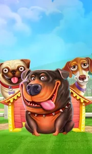 The Dog House
